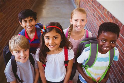 Elementary students 