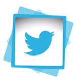 Twitter icon 